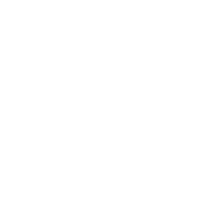 Norsk e-Fuel logo