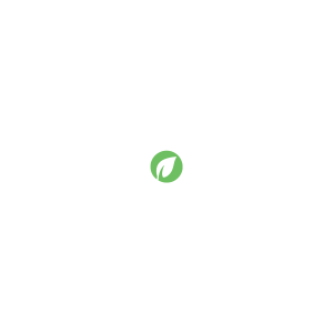 Verdofoam logo