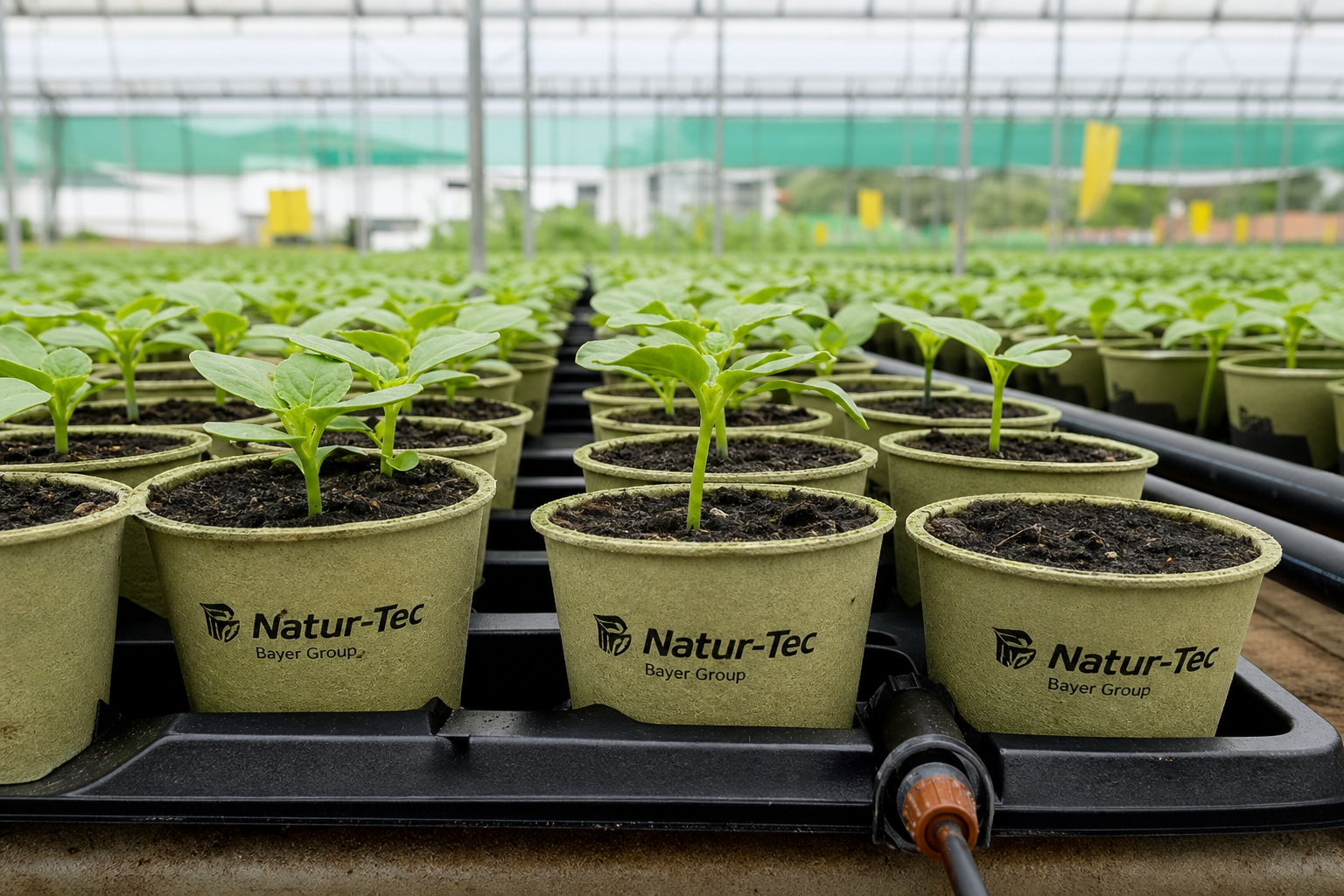 Natur-Tec India and Bayer Partner on Compostable Seedling Cups for Sustainable Agriculture